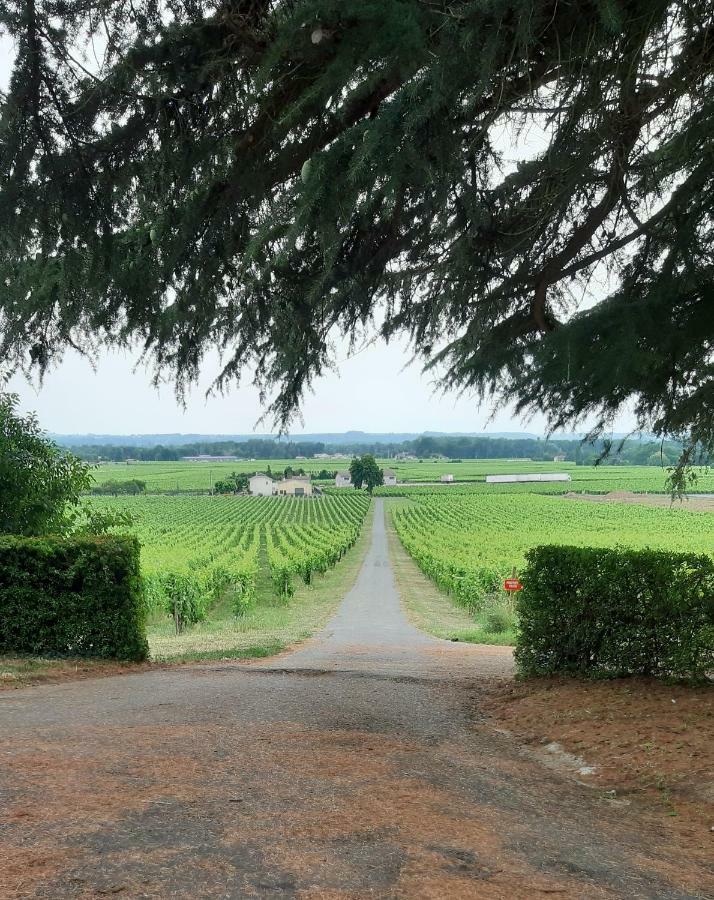 A L'Ombre De La Treille -Proche Saint-Emilion Bed & Breakfast Exterior photo